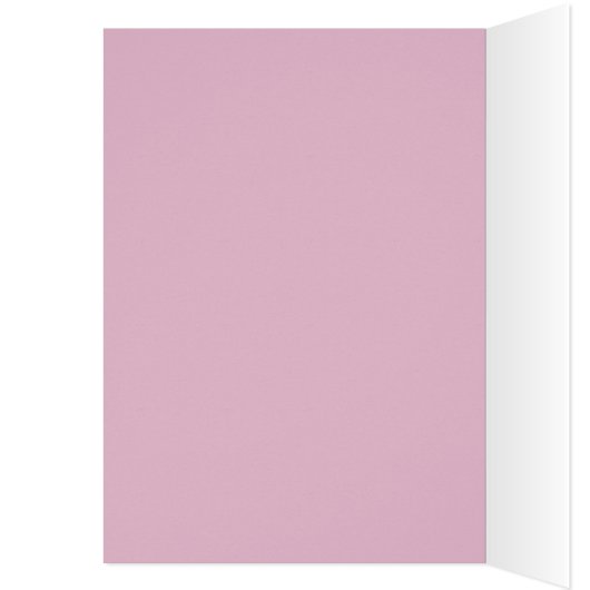 Baby Girl Fotoaankondiging (Binnen (Links))