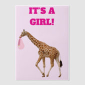 Baby Girl Geboorteaankondiging Vellum Overlay Vellum Uitnodigingen (Voorkant)