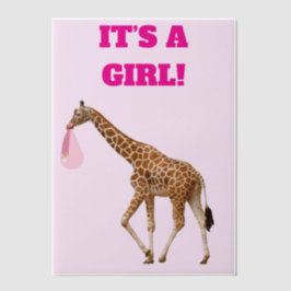 Baby Girl Geboorteaankondiging Vellum Overlay Vellum Uitnodigingen