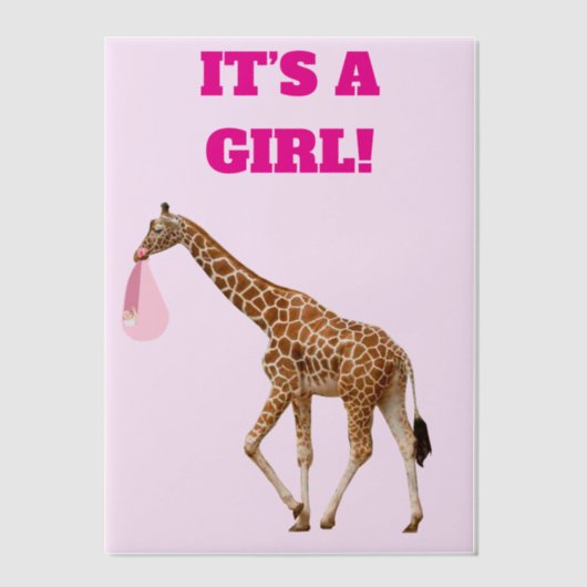 Baby Girl Geboorteaankondiging Vellum Overlay Vellum Uitnodigingen (Voorkant)