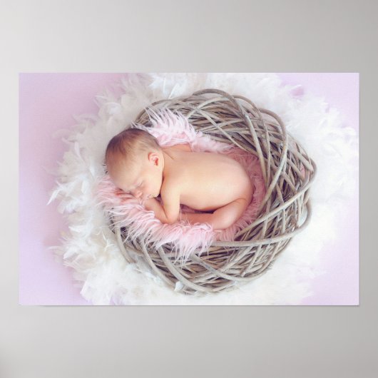 Baby Girl in haar nest Poster (Voorkant)