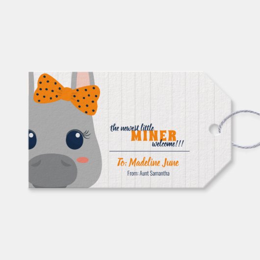 Baby Girl Oranje Donkey Cadeaulabel (Voorkant (Horizontaal))