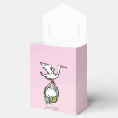 Baby Girl Shower Cute en Fun Delivery Stork Bedankdoosjes (Geopend)