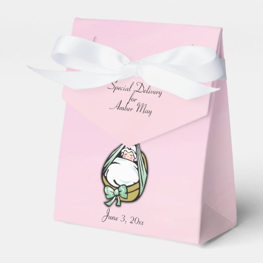 Baby Girl Shower Cute en Fun Delivery Stork Bedankdoosjes (Voorkant Zijde)