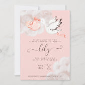 Baby Girl Shower-uitnodiging Kaart (Voorkant)