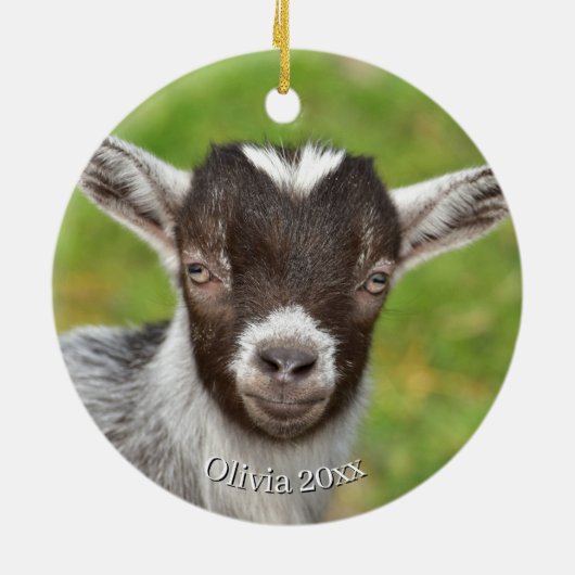 Baby Goat Christmas 9 and YOUR PHOTO Keramisch Ornament (Achterkant)