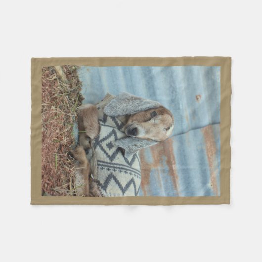 Baby Goat Fleece Blanket Deken (Voorkant (Horizontaal))