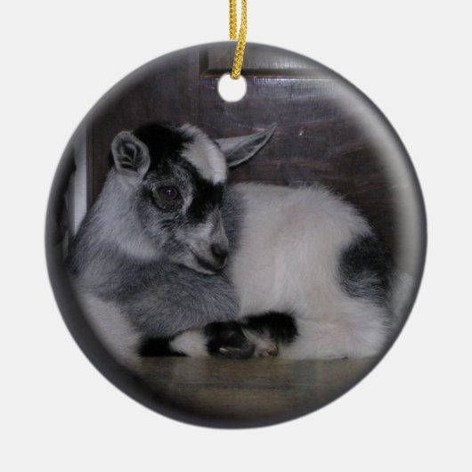 BABY GOAT GRAY/WHITE CHRISTMAS ORNAMENT (Voorkant)