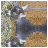 Baby Goat Hay Stof (Close Up)