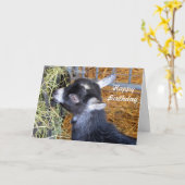 Baby Goat Hay Verjaardag Kaart (Gele Bloem)
