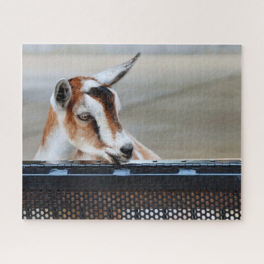 Baby Goat Jigzaag Puzzle Legpuzzel (Horizontaal)