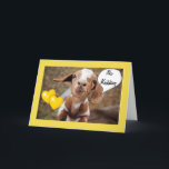 BABY GOAT MAAKT GEEN GRAPJE OVER VERJAARDAGSVRIEND KAART<br><div class="desc">DIT KLEINE KIND IS *GEEN GRAPJE* ALS HIJ OF ZIJ ZIJN OF HAAR WENST **** EEN ZEER SPECIALE VERJAARDAG ***</div>