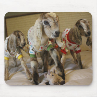 Baby Goat PJ Party Mousepad Muismat