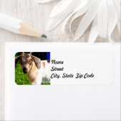 Baby Goat - Retouradreslabel Etiket (Insitu)