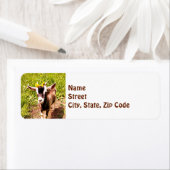 Baby Goat - Retouradreslabel Etiket (Insitu)