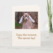 Baby Goat Wisdom Birthday Kaart (Voorkant)