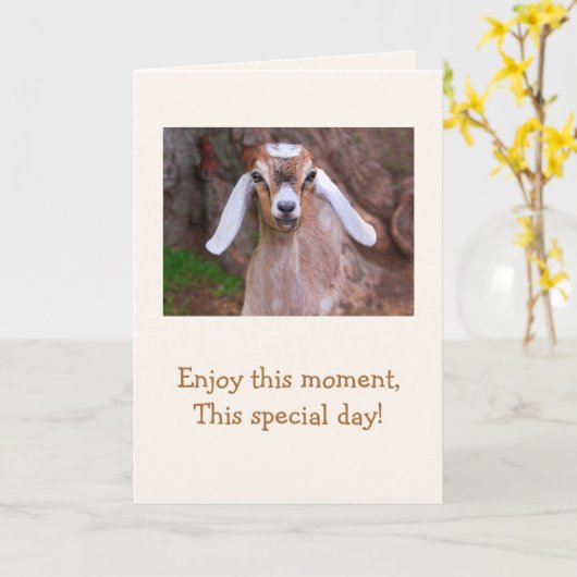 Baby Goat Wisdom Birthday Kaart (Gele Bloem)