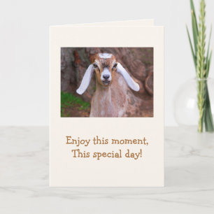 Baby Goat Wisdom Birthday Kaart