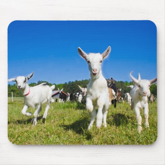 Baby Goats Mousepad Muismat (Voorkant)