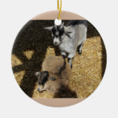 Baby Goats Ornament (Voorkant)