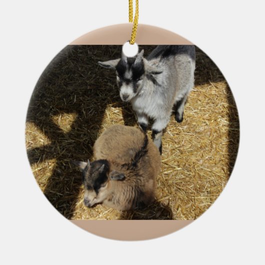 Baby Goats Ornament (Voorkant)
