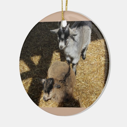 Baby Goats Ornament (Links)