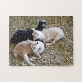 Baby Goats Sleeping Legpuzzel