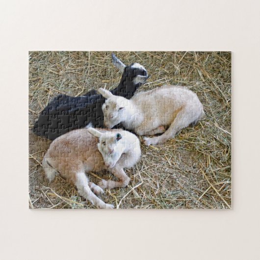 Baby Goats Sleeping Legpuzzel (Horizontaal)