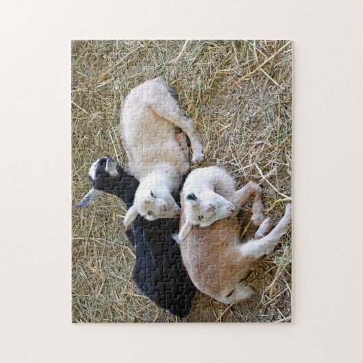 Baby Goats Sleeping Legpuzzel (Verticaal)