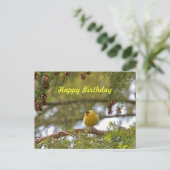 Baby Goldfinch Foto Briefkaart (Staand voorkant)
