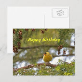Baby Goldfinch Foto Briefkaart (Voorkant / Achterkant)