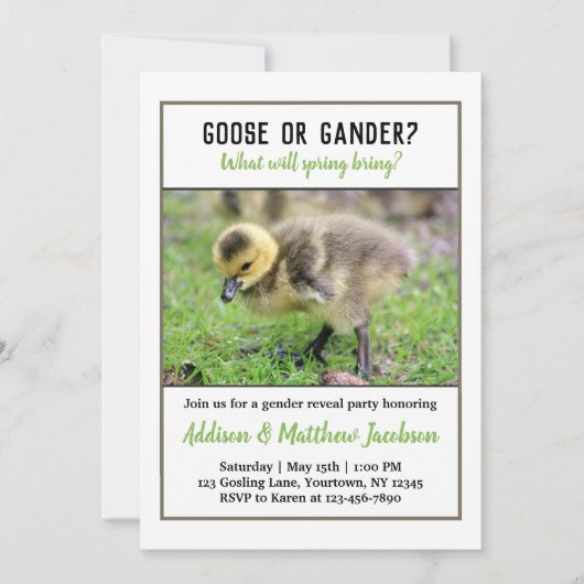 Baby Goose Geslacht Onthulling Uitnodiging (Voorkant)
