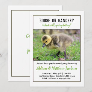 Baby Goose Geslacht Onthulling Uitnodiging