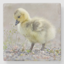 Baby Goose Onderzetter