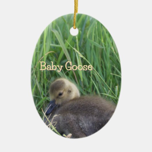 Baby Goose Ornament (Voorkant)