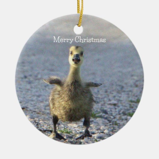 Baby Goose Ornament (Voorkant)