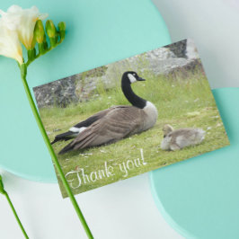 Baby Goose Photo Baby Shower Bedankkaart