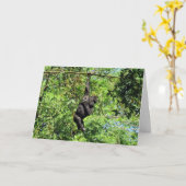 Baby Gorilla (2035) - Kaart van Birthday (Gele Bloem)