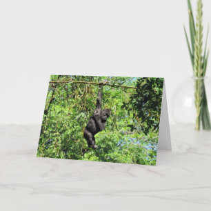 Baby Gorilla (2035) - Kaart van Birthday