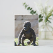 Baby Gorilla Briefkaart (Staand voorkant)
