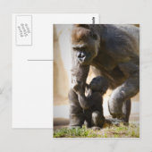 Baby Gorilla Briefkaart (Voorkant / Achterkant)