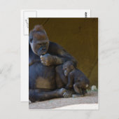 Baby Gorilla Briefkaart (Voorkant / Achterkant)