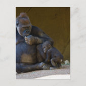 Baby Gorilla Briefkaart (Voorkant)