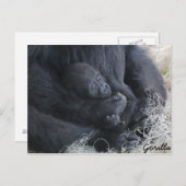 Baby Gorilla Briefkaart (Voorkant / Achterkant)