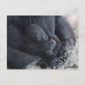 Baby Gorilla Briefkaart (Voorkant)