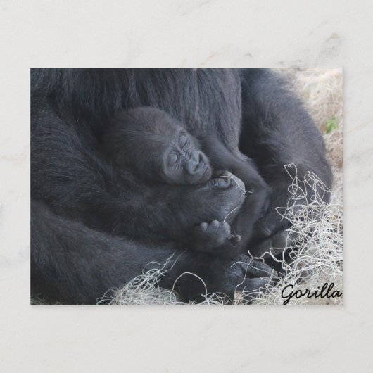 Baby Gorilla Briefkaart (Voorkant)