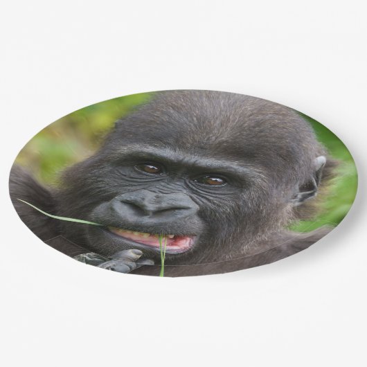 Baby Gorilla Cuteness Papieren Bordje (Gekanteld)