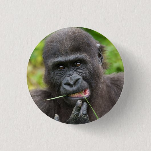 Baby Gorilla Cuteness Ronde Button 3,2 Cm (Voorkant)