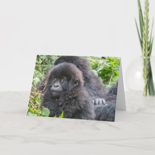 Baby Gorilla Kaart (Voorkant)