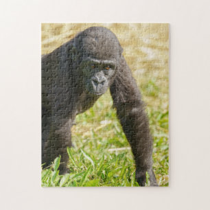 Baby Gorilla Legpuzzel